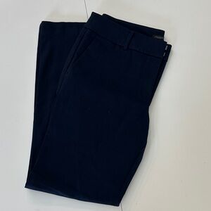 Ann Taylor Navy Blue chinos